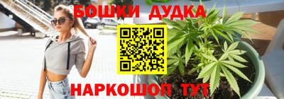 молекула духа Новокубанск