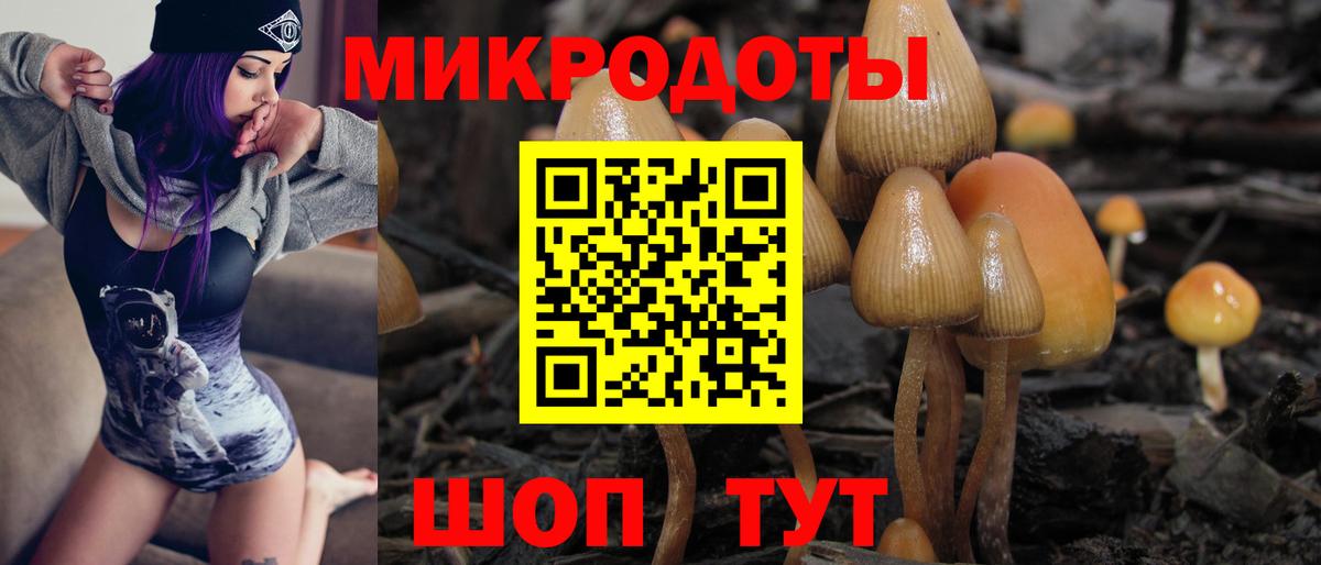Саранск  Галлюциногенные грибы MAGIC MUSHROOMS  Вход с VPN 