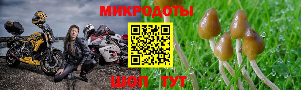 Псилоцибиновые грибы Magic Shrooms Саранск